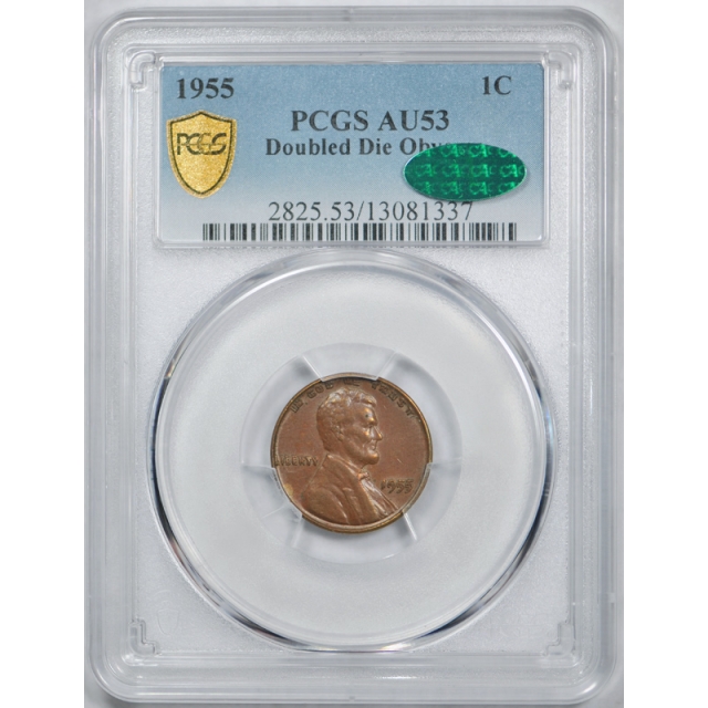 1955 Double Die Obverse Lincoln Wheat Cent PCGS AU 53 CAC 1955/1955 DDO !
