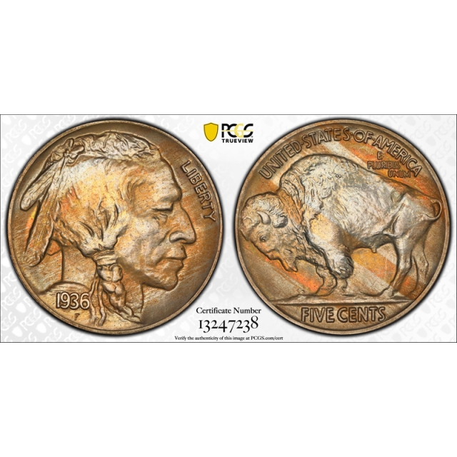 1936 5C Brilliant Proof Buffalo Nickel PCGS PR 65 CAC Approved Toned Beauty !