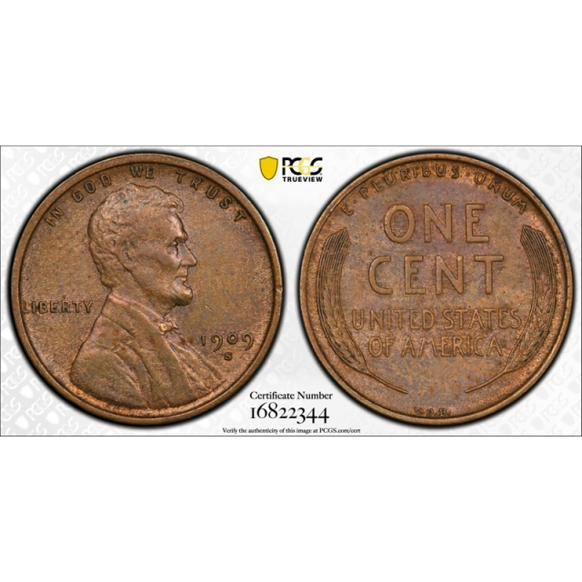1909 S VDB 1C Lincoln Wheat Cent PCGS AU 55 About Uncirculated Key Date CAC Cert#2344