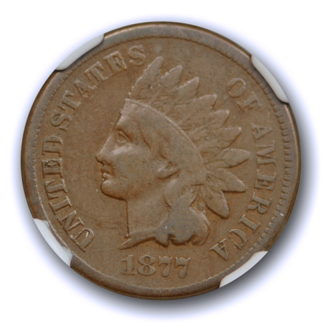 1877 1c Indian Head Cent NGC F 12 BN Fine Key Date Chocolate Brown Original Tough !
