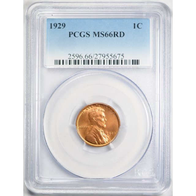 1929 1C Lincoln Wheat Cent PCGS MS 66 RD Uncirculated Fully Red Exceptional Coin !