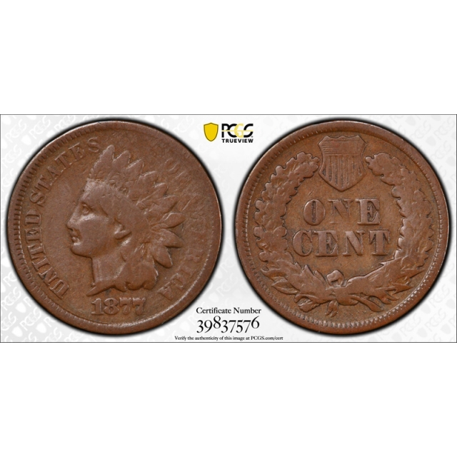 1877 1C Indian Head Cent PCGS VG 8 Very Good Full Rims Key Date Nice ! 
