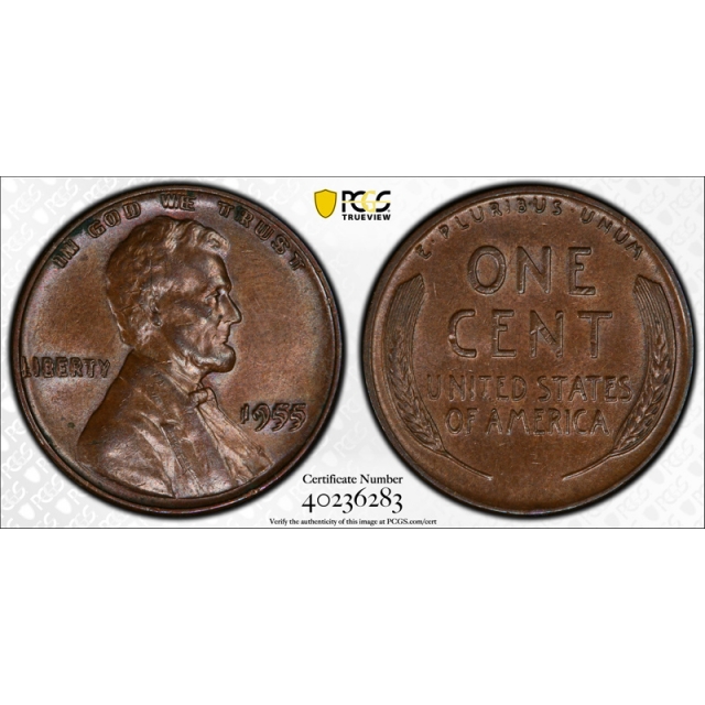 1955 Double Die Obverse Lincoln Cent PCGS MS 61 BN Uncirculated 1955/1955 Nice!