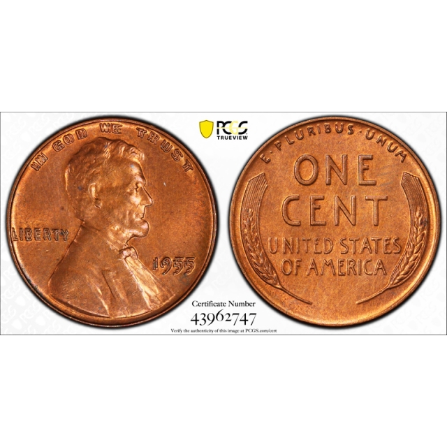 1955 1C Doubled Die Obverse Lincoln Wheat Cent PCGS Uncirculated Mostly Red DDO