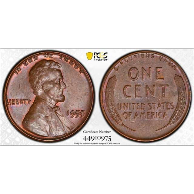 1955 1C Doubled Die Obverse Lincoln Wheat Cent PCGS AU 58 1955/1955 CAC Approved !